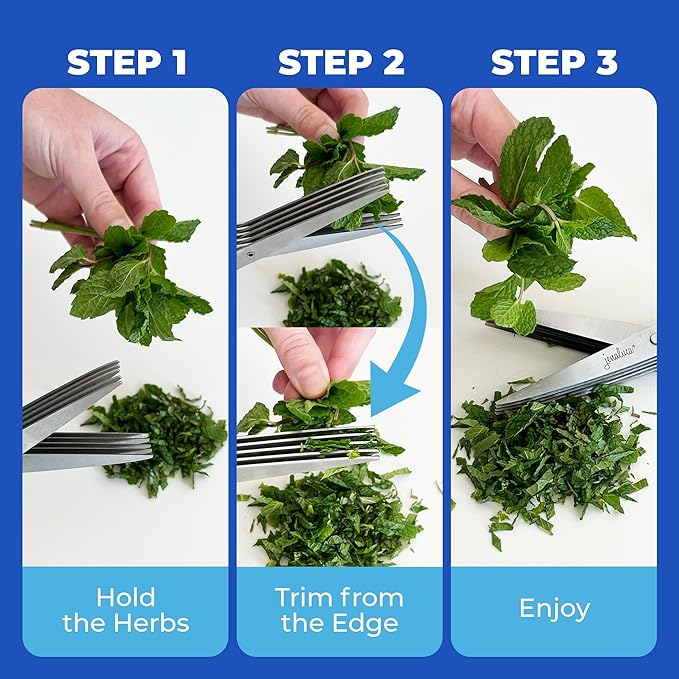 Jenaluca 5 Blade Herb Scissors - Salad Scissors - Cut & Chop Fresh Herbs & Leafy Greens - Stainless Steel Kitchen Shear Set with Cleaning Comb & Safety Cover - Kitchen Gadget - Black